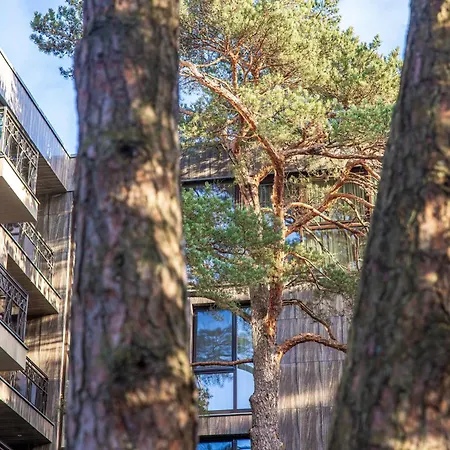 Birutes Aleja 43 Apartamentai