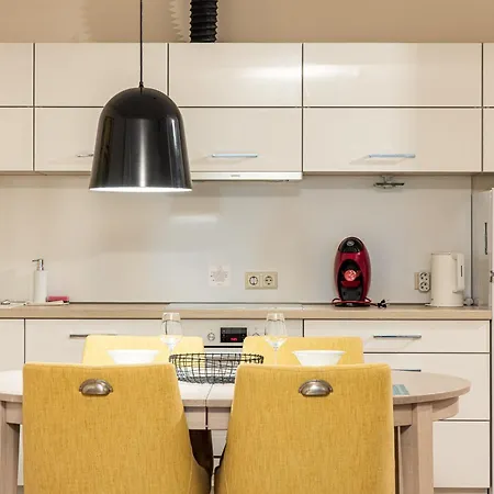 Birutes Aleja 43 Apartamentai *