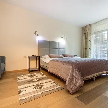 Birutes Aleja 43 Apartamentai *