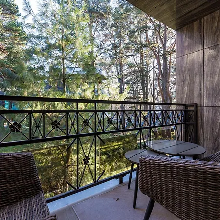 Birutes Aleja 43 Apartamentai Apartment Palanga