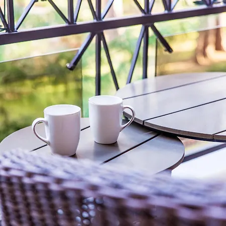 Birutes Aleja 43 Apartamentai Appartement *