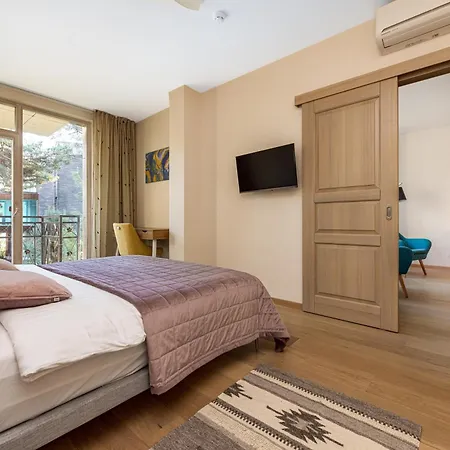 Birutes Aleja 43 Apartamentai * Palanga