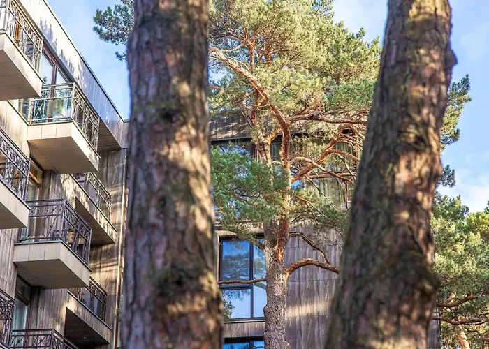 Birutes Aleja 43 Apartamentai