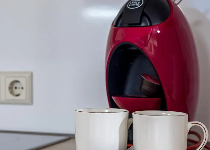 Birutes Aleja 43 Apartamentai Palanga