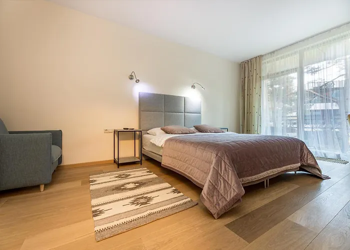 Birutes Aleja 43 Apartamentai *