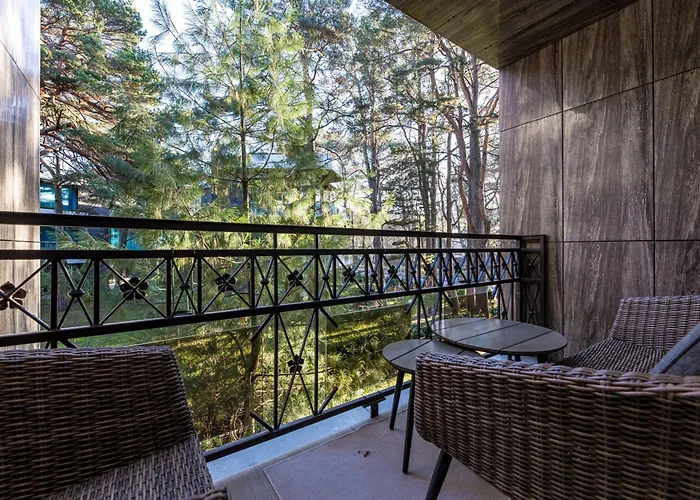 Birutes Aleja 43 Apartamentai Appartement Palanga