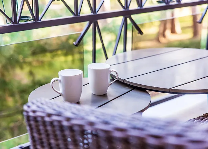 Birutes Aleja 43 Apartamentai Appartement *